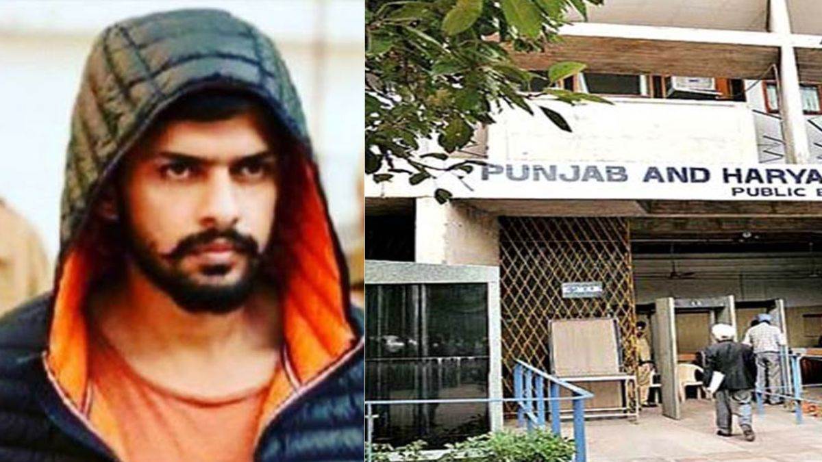 Lawrence Bishnoi: लॉरेंस बिश्नोई इंटरव्यू मामले पर हाईकोर्ट में सुनवाई,  सरकार ने कहा- कमेटी कर रही जांच - Hearing in the High Court on the Lawrence  Bishnoi interview case committee is investigating