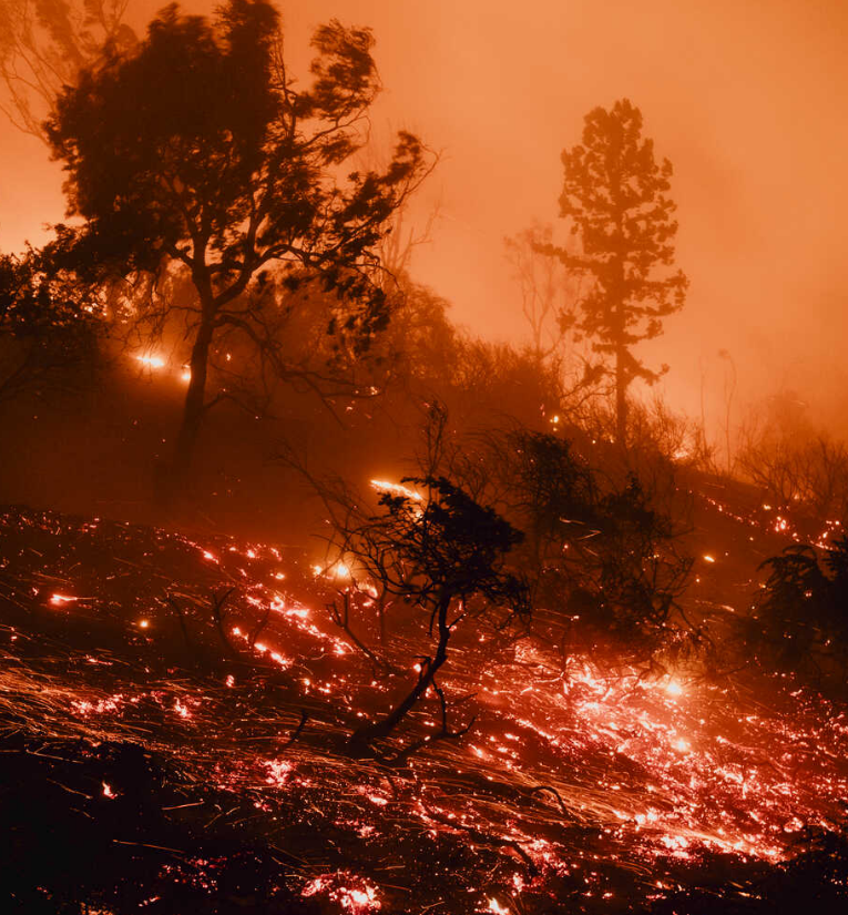 जंगलों की लॉस एंजिलिस के हिल टॉप तक पहुंच गई। आग से रात को पहाड़ी लाल दिखाई दे रही थी।